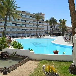 koka-view.in-canary-islands.com/